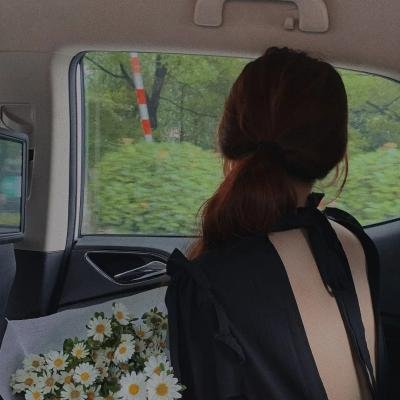 双生花2014